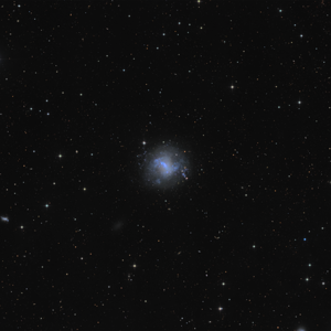 NGC 4214 - irreguläre Galaxie in den Jagdhunden