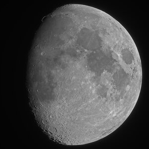 Mond - Goldener Henkel