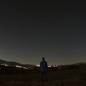 Der Bärenhüter schaut herab