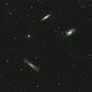 Leo-Triplet.jpg