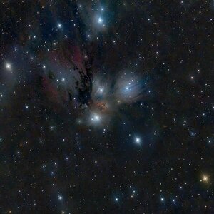 Umgebung um NGC2170