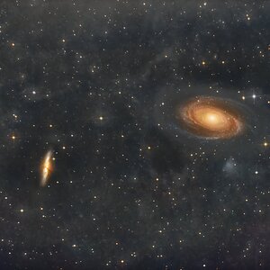 M81, M82 mit IFN