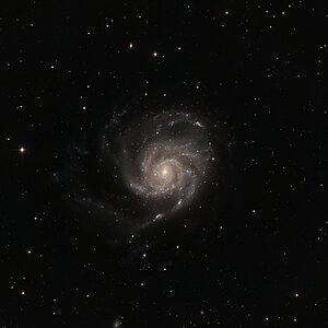 M101_6h.jpg