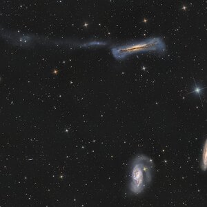 Leo Triplett