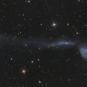 Hamburger-Galaxie (Leo)