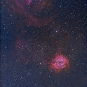 NGC 2238,2264, ic 2169