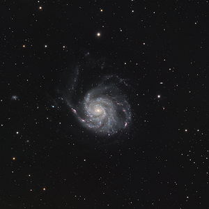 M101