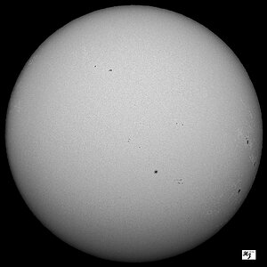 100-4954  MF AE21032025 1012 UTC.jpg