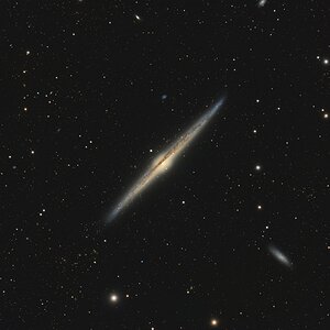 NGC4556 - Nadelgalaxie