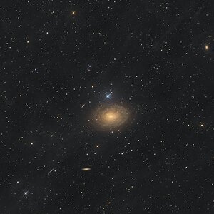 IC 356 (Arp 213)