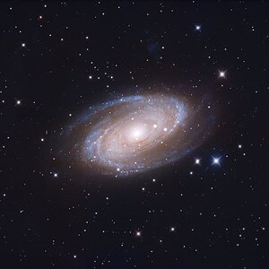 M81