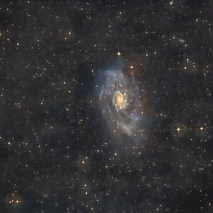 NGC 2403