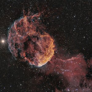 IC 443 (Jellyfish Nebula)