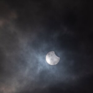 DSC_2593.jpg