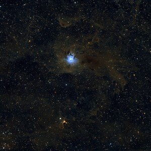 NGC7023_Irisnebel.jpg