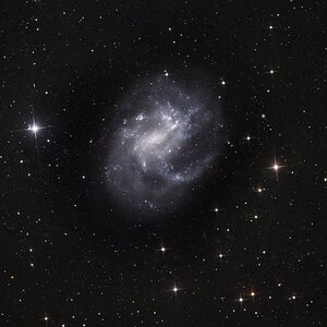 NGC 4395 gecroppt