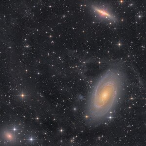 38h M81 Gruppe mit IFN