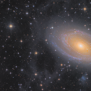 Detailansicht M81/M82