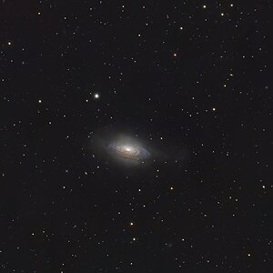 ngc3521 Eine Spiralgalaxie im Löwen