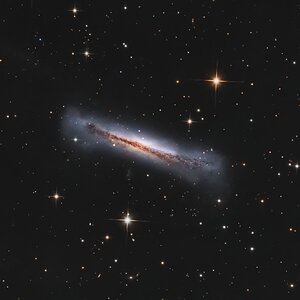 Hamburger Galaxy aus Köln