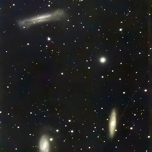 Leo Triplett
