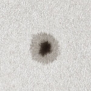 AR 14046 um 11_37MESZ am 04-04-25 mit OMC 140 und ASI 178MC webversion.jpg