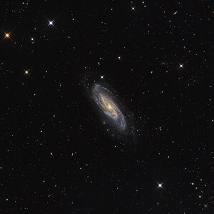 NGC 3198, Galaxie im Großen Bären mit dem NCT300