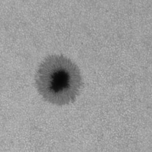 2025_04_04_1535UT_Sonne_WL.jpg