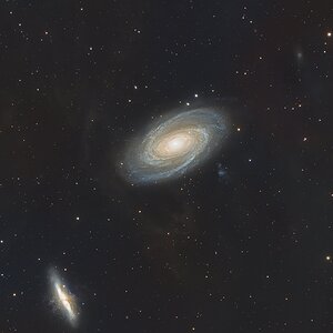 M81, M82 und NGC3077