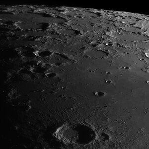 Rima_Sheepshanks_Aristoteles_Gaertner_GDB_178_IRpass_20250404_OG.jpg