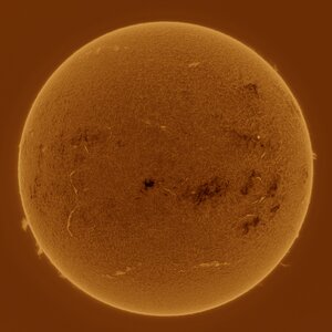 AcuterSonne