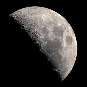 Mond