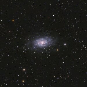 NGC 2403