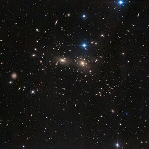 Coma Cluster