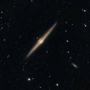 NGC 4565 " The needle" Galaxie