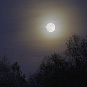 Vollmond-Aufgang in Cirrenbegleitung