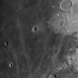 Mondmosaik_Timocharis_IRpass_GDB-178m_20250408_OG.jpg