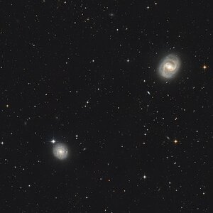 M91 & NGC4571