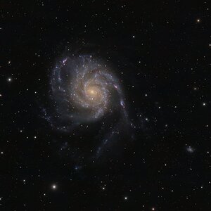 M101_CF130_Color_300Min.jpg
