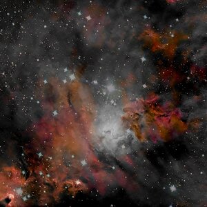 Ausschnitt aus dem Wehnachtsbaumnebel