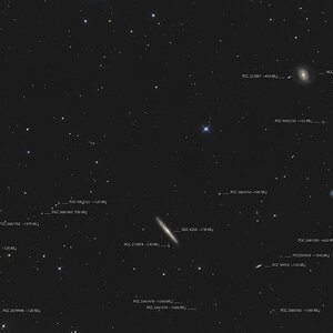 NGC 4256 und andere in LGG 277