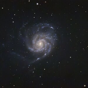 M 101