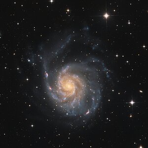 M101sFinal.jpg
