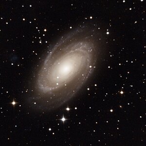 M81