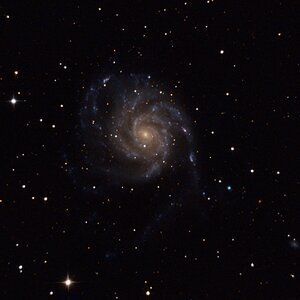 M101