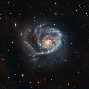 M101
