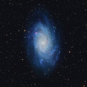 M33