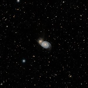 M51