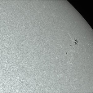 2025-04-30-0819_9_web.jpg