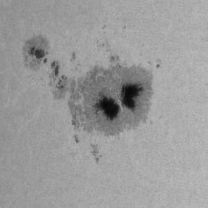 2025-05-01_1548UT_Sonne_WL.jpg
